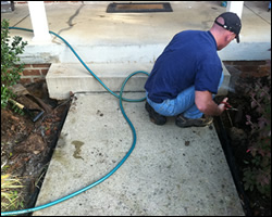 Dead animal removal Arlington VA